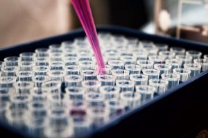 Cell-Based Assay