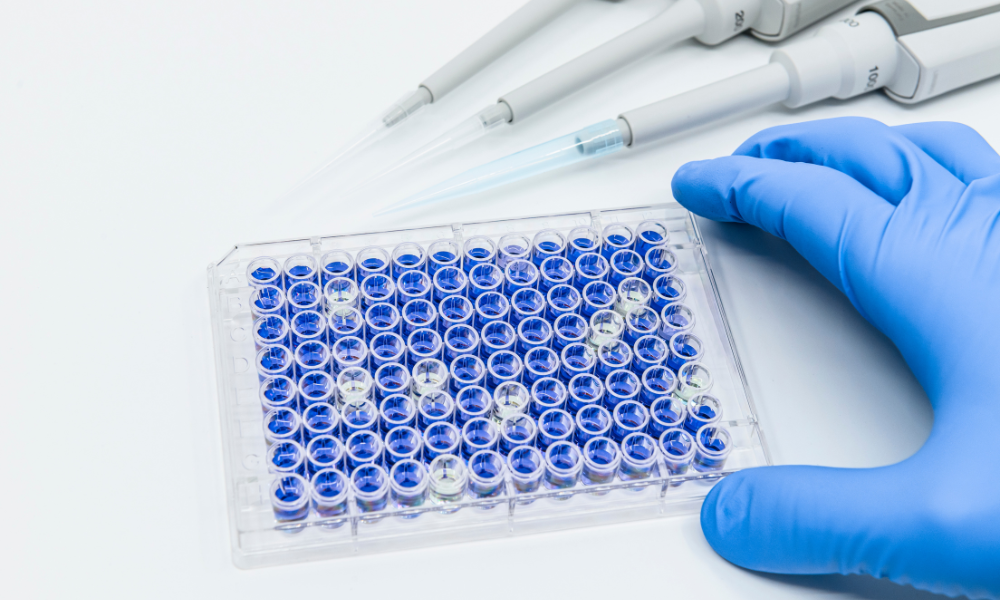 Molecular Assays, Immunoassays, Assay Development