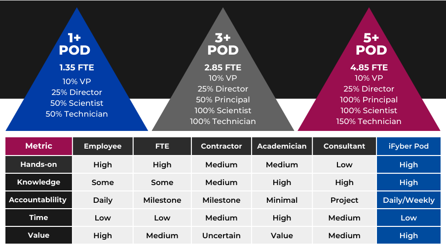 iFyber's PODs Staffing Approach Description