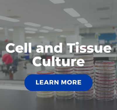 Cell and Tissue Culture services