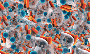 Biofilm structures, biofilm testing, biofilm formation