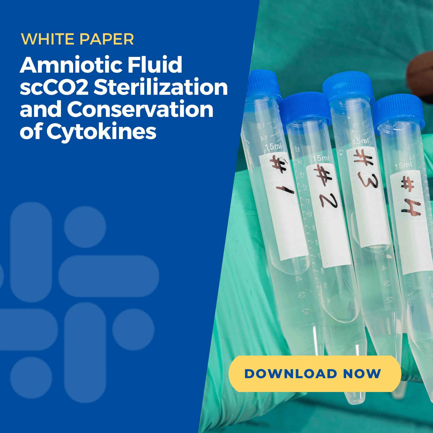 Amniotic Fluid scCO2 Sterilization and Conservation of Cytokines Capture Graphic