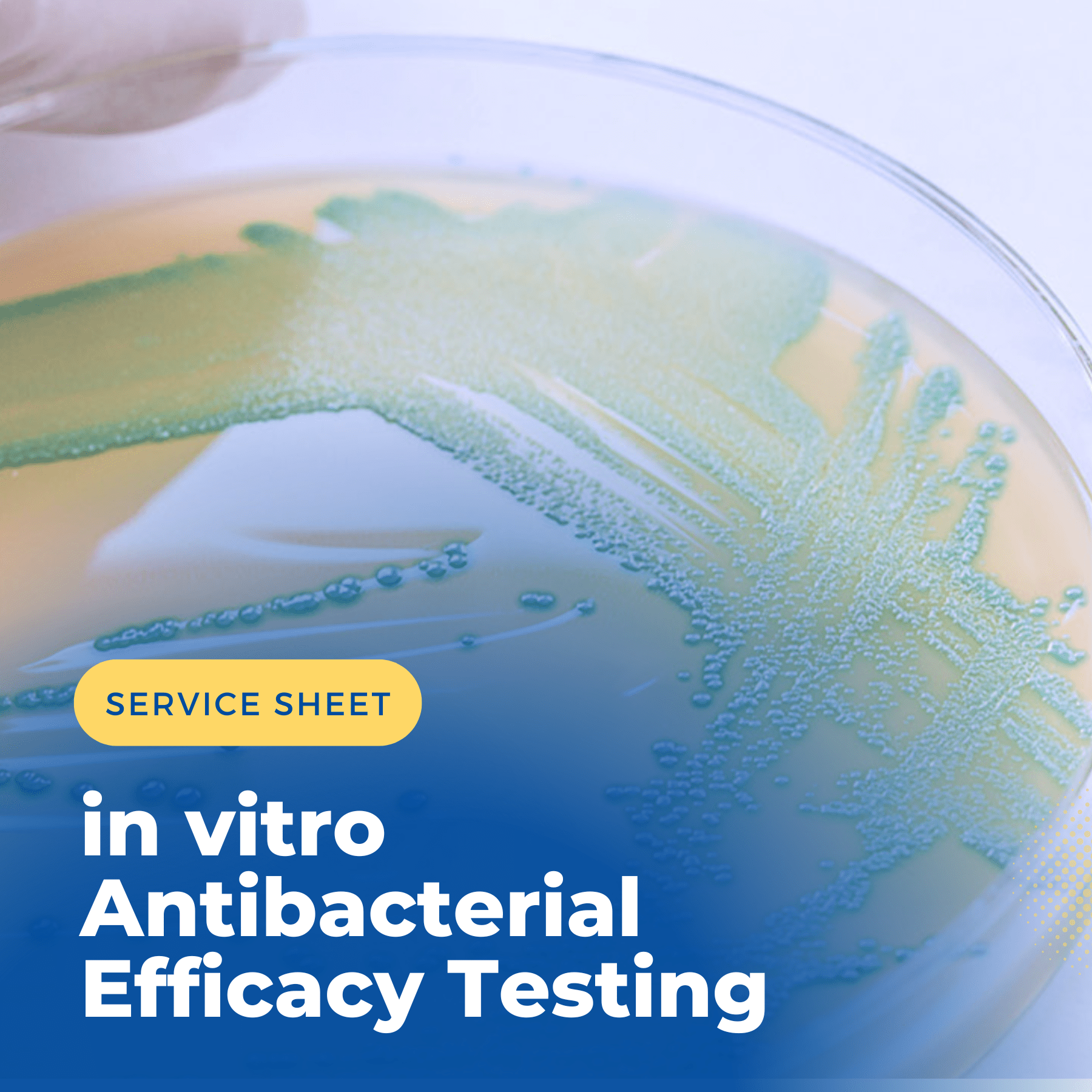 Antibacterial Efficacy Testing