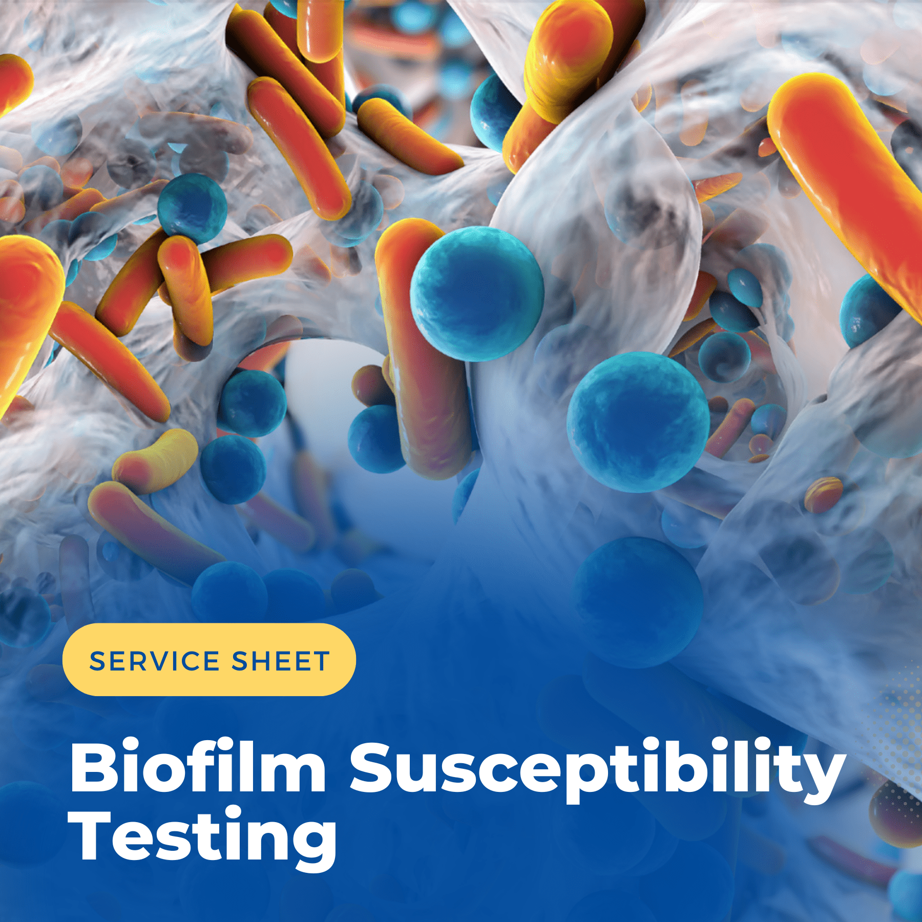 Biofilm Testing