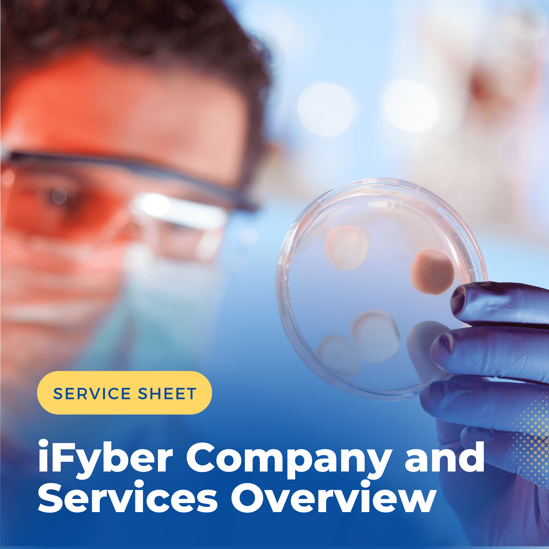 iFyber Company Overview