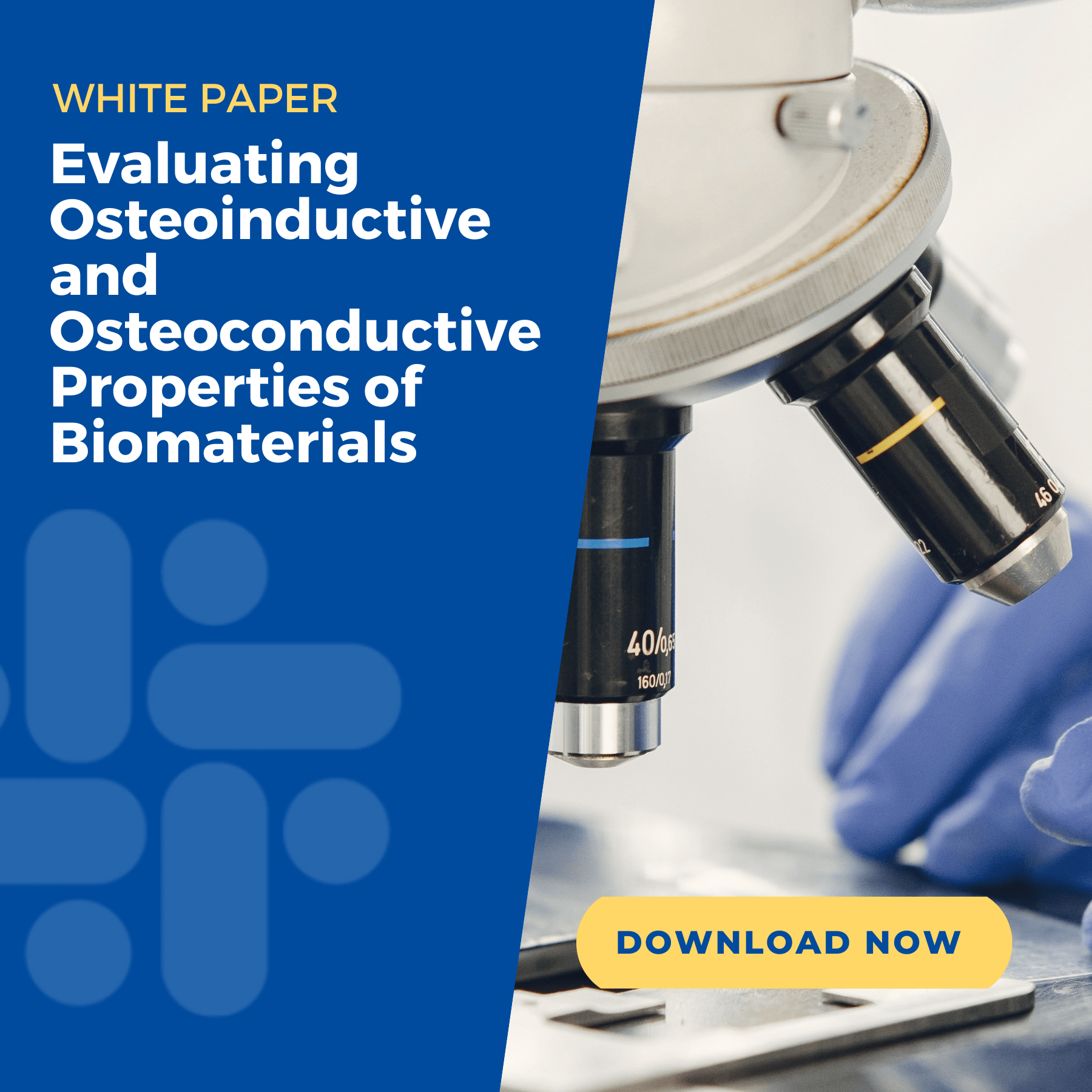 Evaluating Osteoinductive and Osteoconductive Properties of Biomaterials - WP