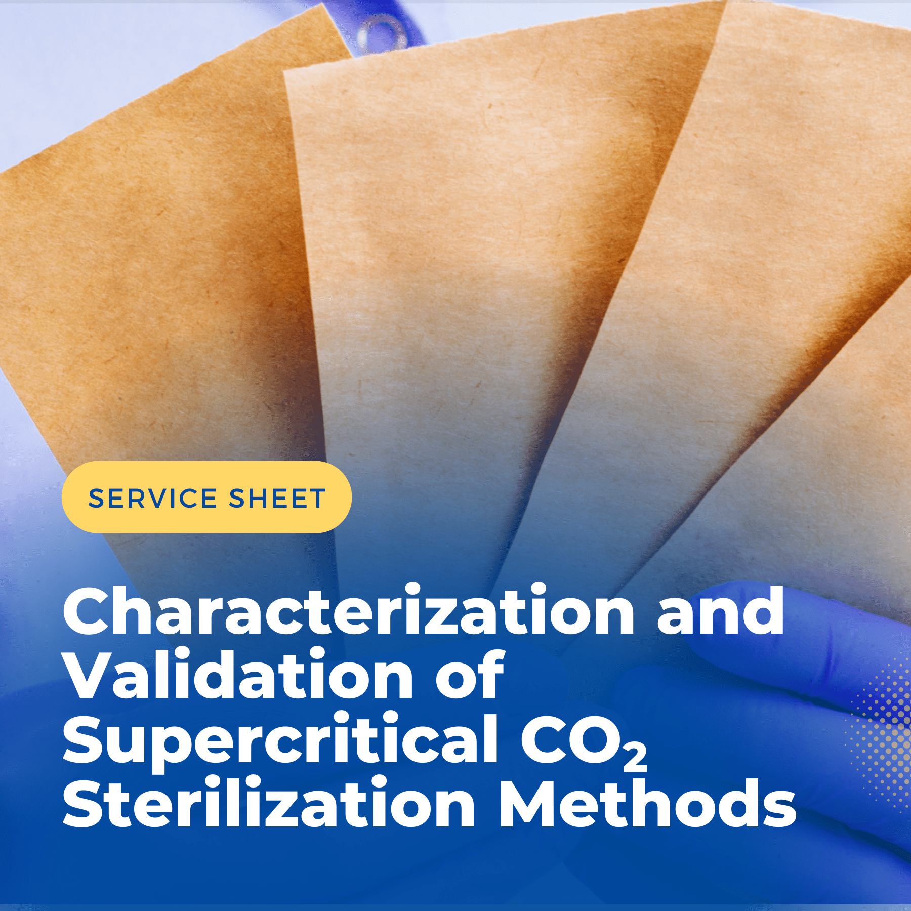 Sterilization Validation Services