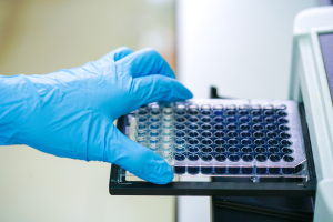 Scientist performing biomarker analysis with a 96 well plate.