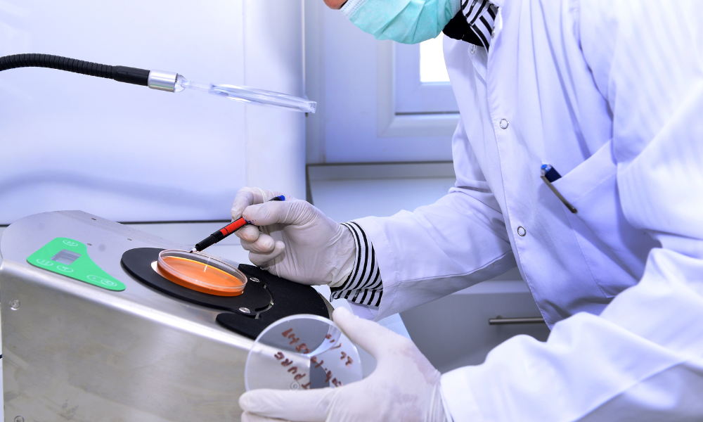 A scientist looking at a disk after performing a USP 51 antimicrobial efficacy test.