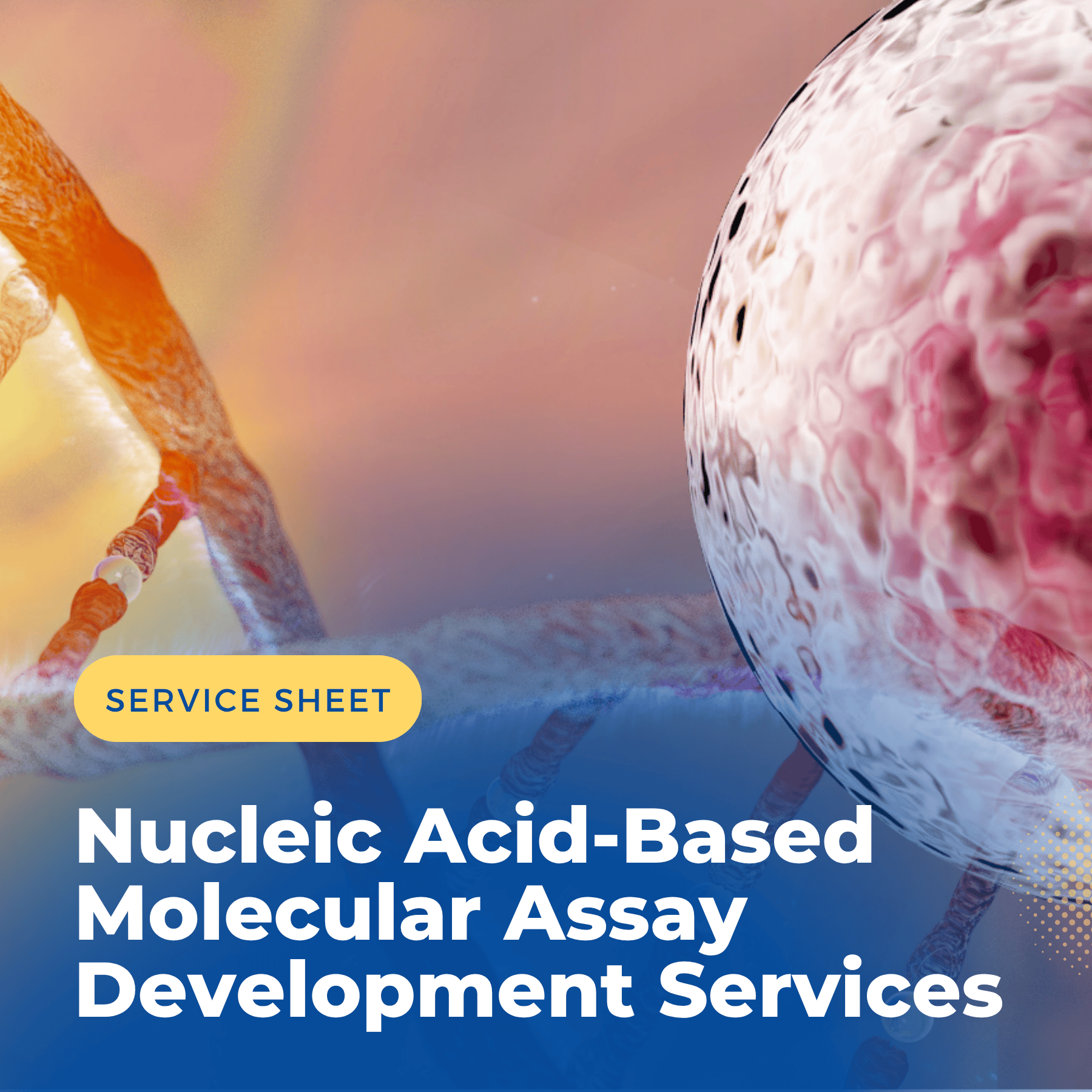 Nucleic Acid based Assay Development
