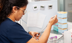 A scientist testing monoclonal antibodies to ensure antibody stability in atopic dermatitis